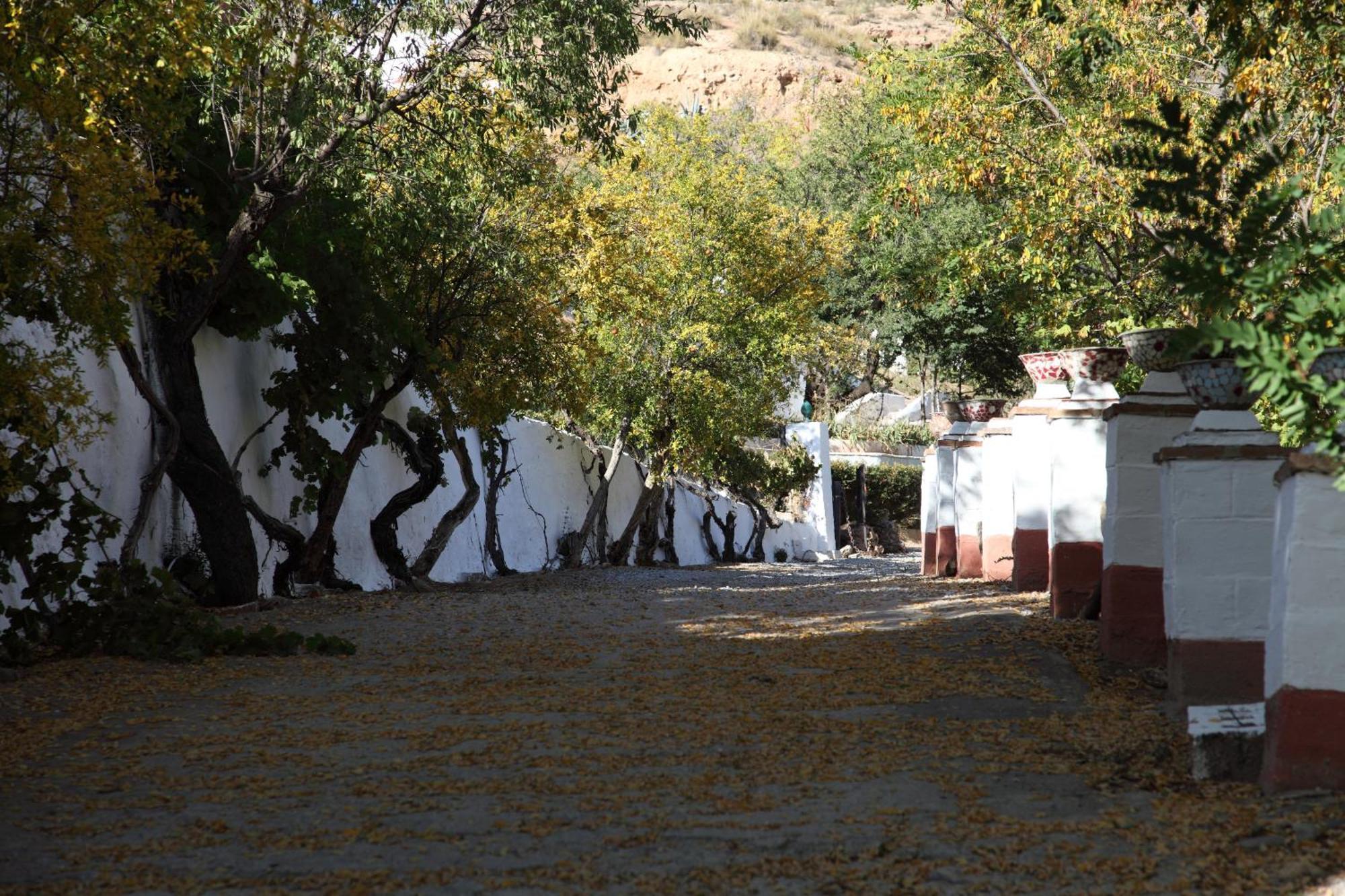 Hotel Casas Cueva Y Cortijo La Tala En Guadix Pokoj fotografie